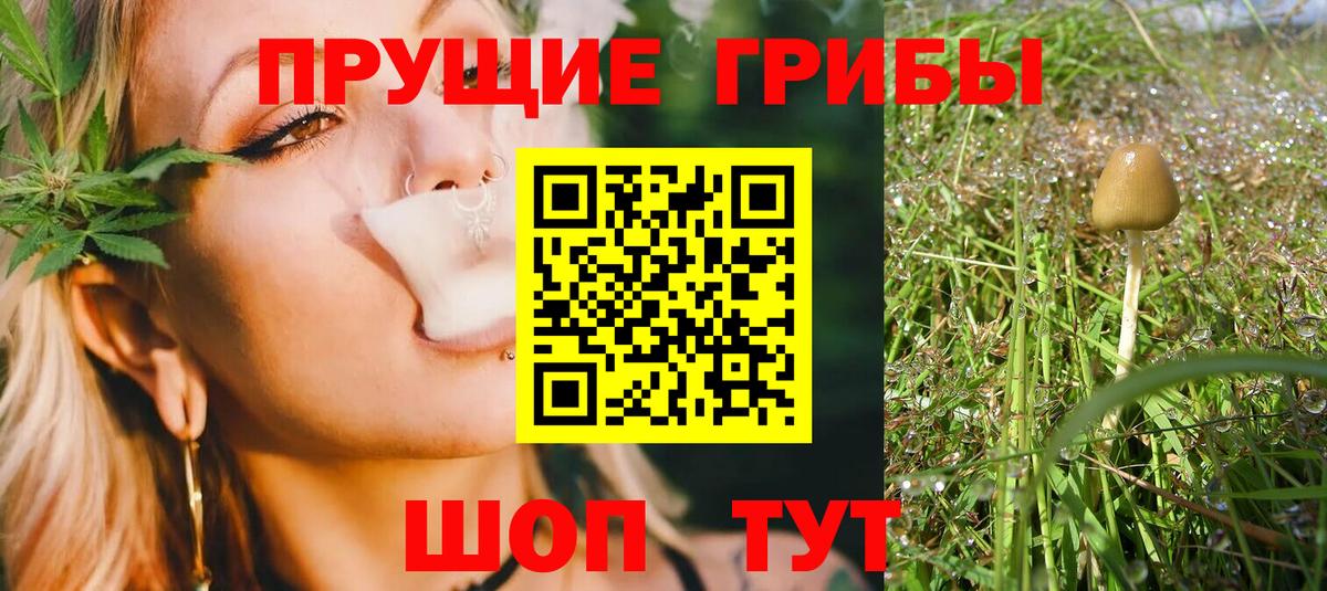 Псилоцибиновые грибы Psilocybine cubensis  Вход с VPN  Кемерово 