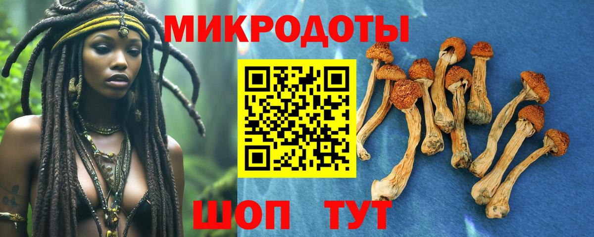 Псилоцибиновые грибы прущие грибы Кемерово